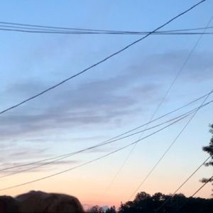 Meet your Posher, Maddie